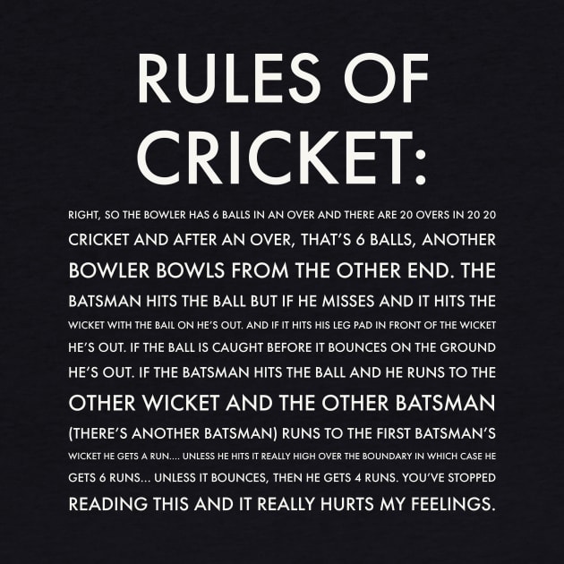 Rules of Cricket - Funny by Room Thirty Four